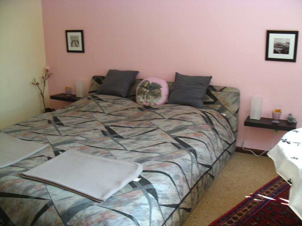 Tannhaeuser B&B Bad Duerrheim Room photo